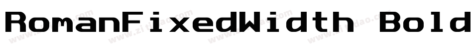 RomanFixedWidth Bold Italic字体转换